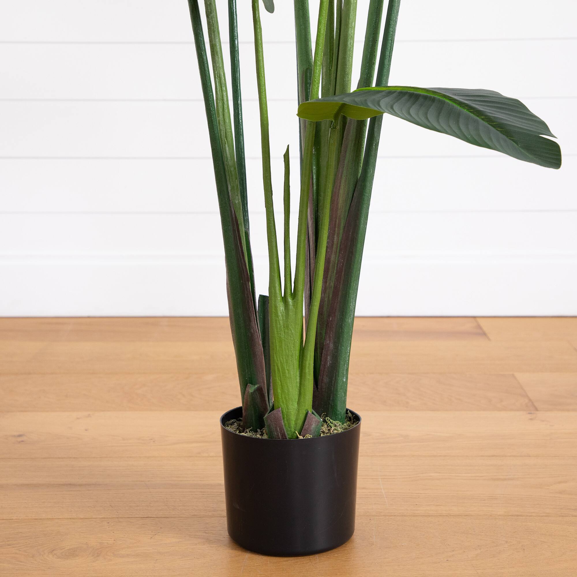 6ft. UV-Resistant Artificial Traveler's Palm Tree